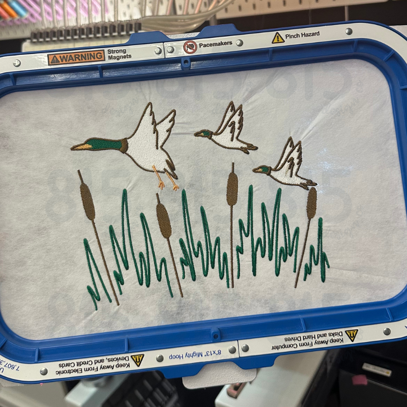 Ducks